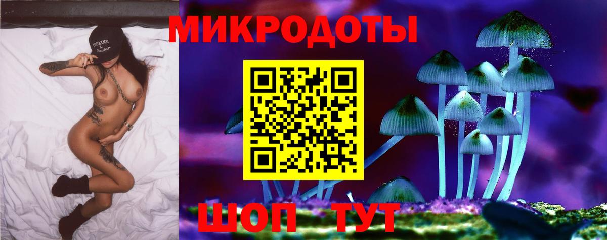 Галлюциногенные грибы Psilocybine cubensis  Вход с VPN  Сатка 